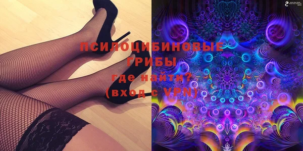 apvp Алексин