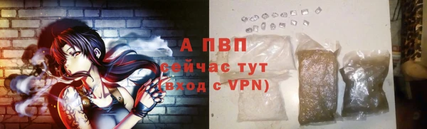 apvp Алексин
