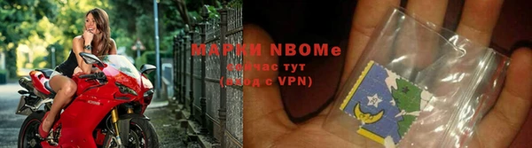 apvp Алексин