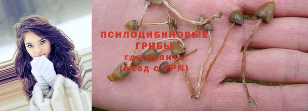 герыч Касимов