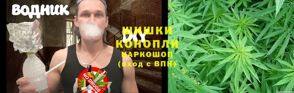 гидра Алексеевка