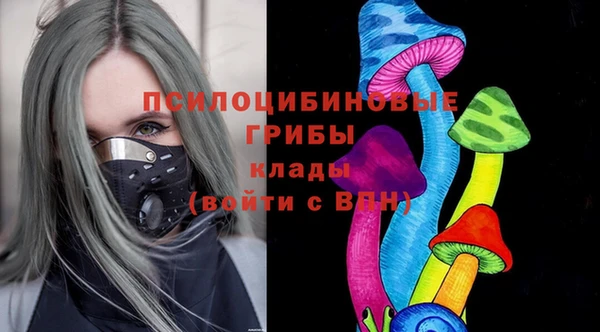 2c-b Алзамай