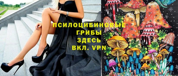 apvp Алексин