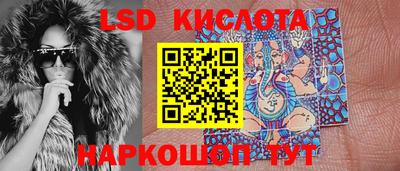 молекула духа Камышлов