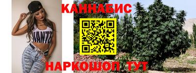 молекула духа Камышлов