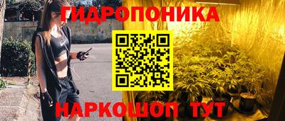 молекула духа Камышлов