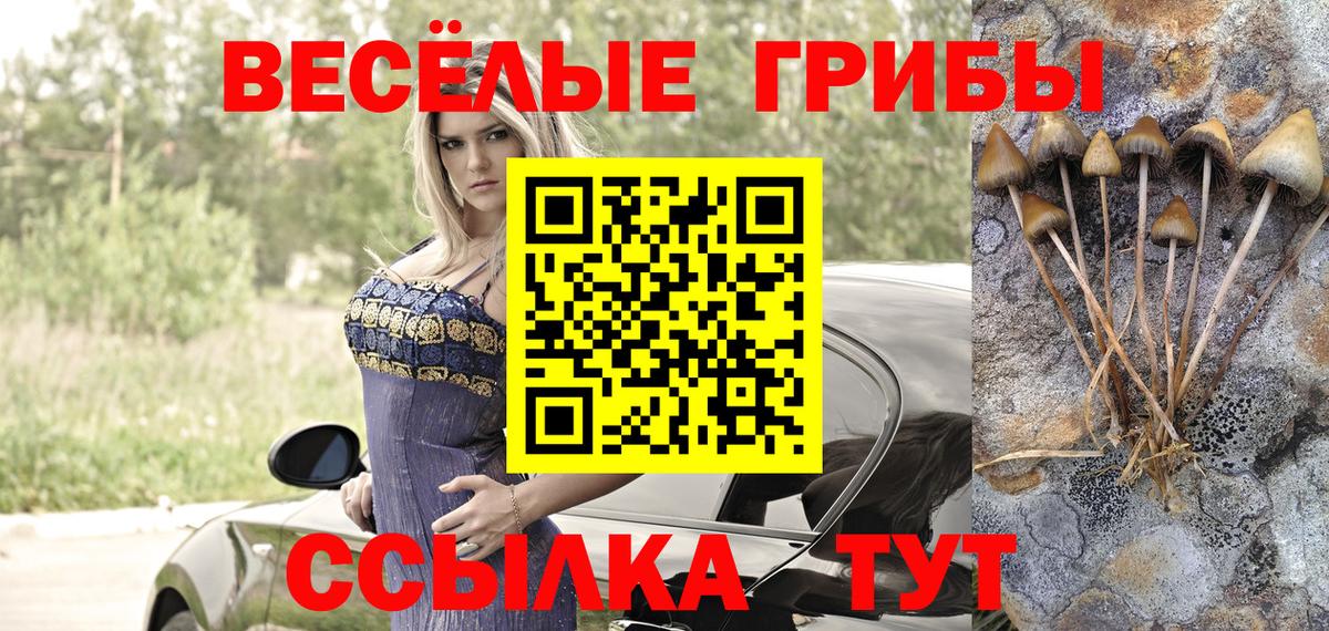 Лабинск  Псилоцибиновые грибы Magic Shrooms  Вход с VPN 